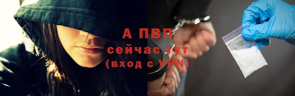 индика Алексин
