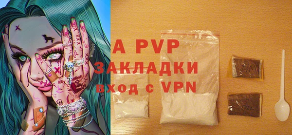 индика Алексин