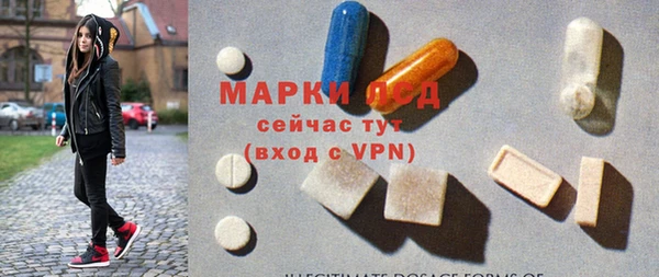 индика Алексин
