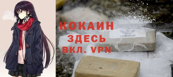 гашик Алексеевка