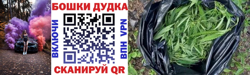закладка  Калачинск  Бошки Шишки Amnesia 